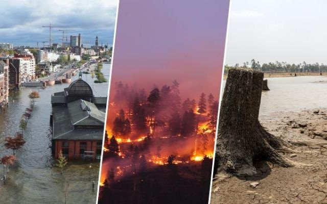 جاخالی دادن شرکت‌های بیمه