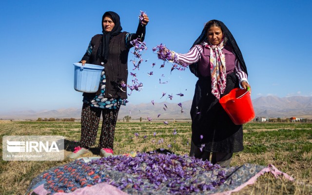 ۲ هزار و ۱۵۰ خانوار روستایی خراسان شمالی بیمه اجتماعی شدند