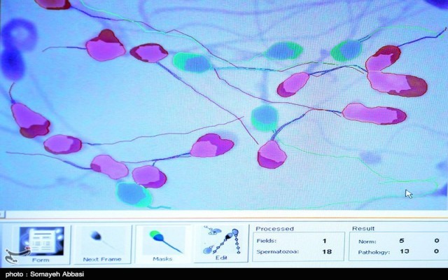هزینه ۱۴ میلیاردی بیمه سلامت برای درمان ناباروری در آذربایجان‌غربی