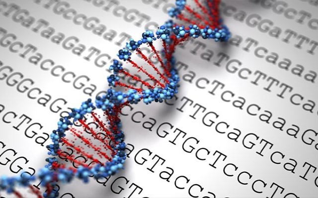 هزینه آزمایش ژنتیک با بیمه تکمیلی چقدر است؟