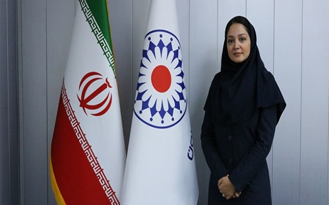 بیمه گران در صدد طراحی Cyber Insurance