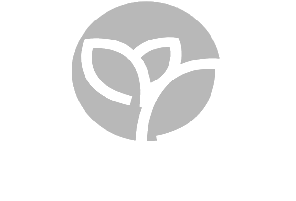 بیمه پارسیان